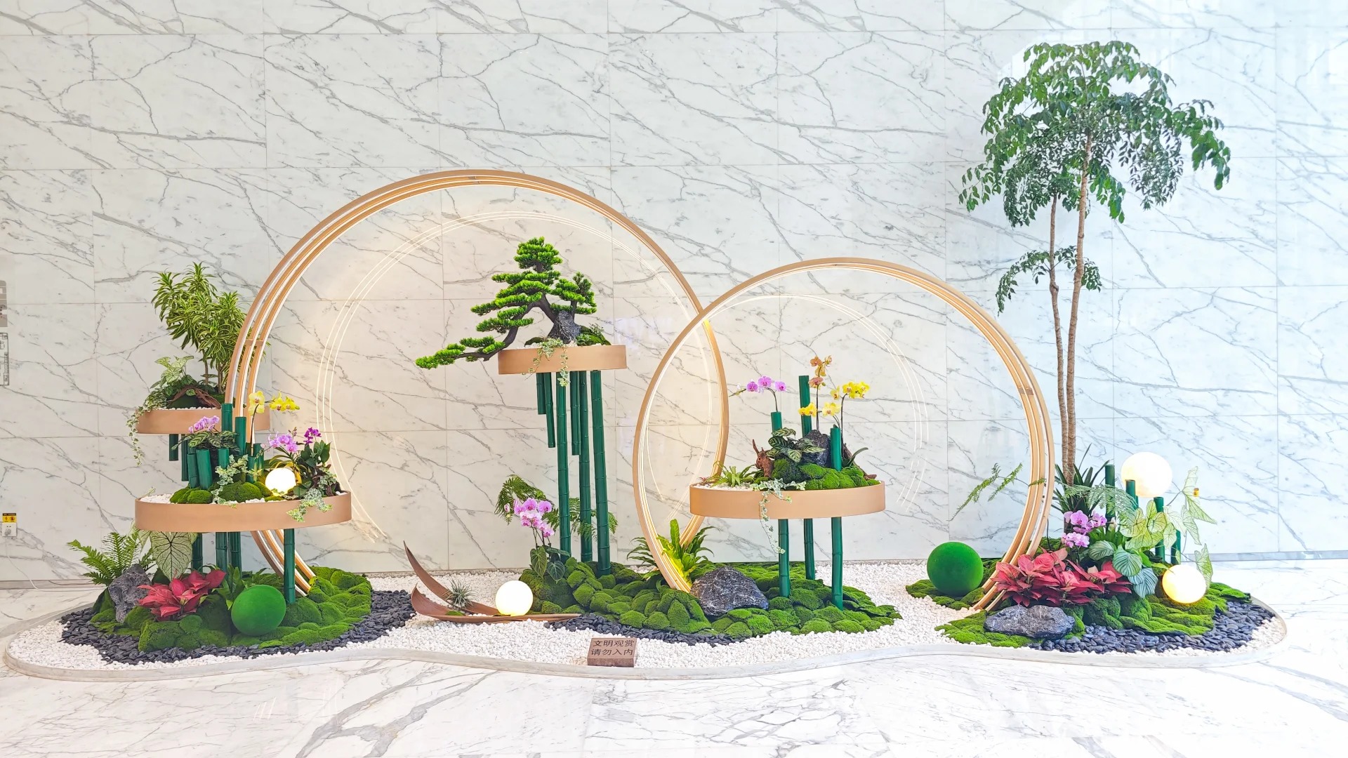 了解余姚绿植出租方案，畅享绿色生活新方式